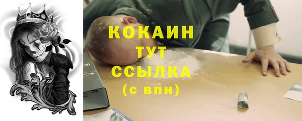 сатива Нефтекумск