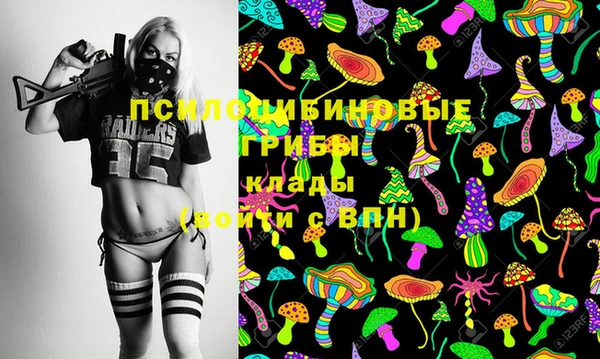 амф Абаза
