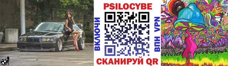 Псилоцибиновые грибы Psilocybe  Сычёвка 